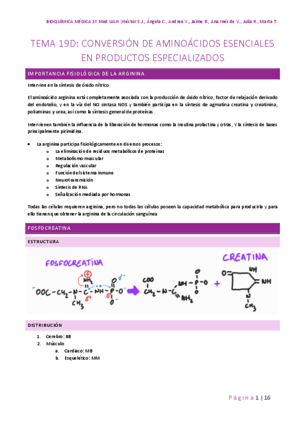 Miniatura del documento TEMA-19D-AMINOACIDOS-ESENCIALES-2.pdf
