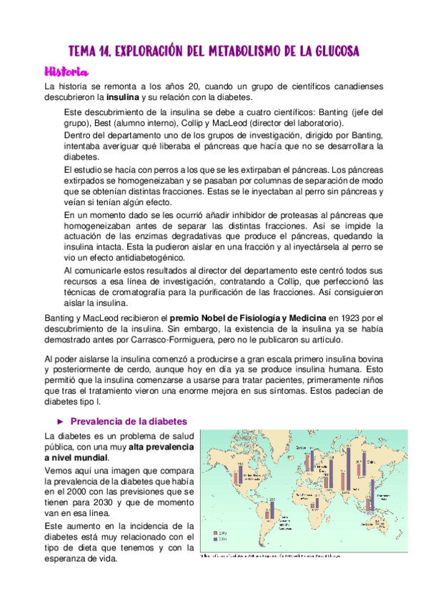 Miniatura del documento TEMA-14.pdf