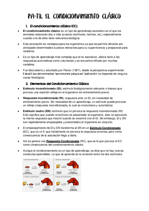 Miniatura del documento PA-T31.pdf