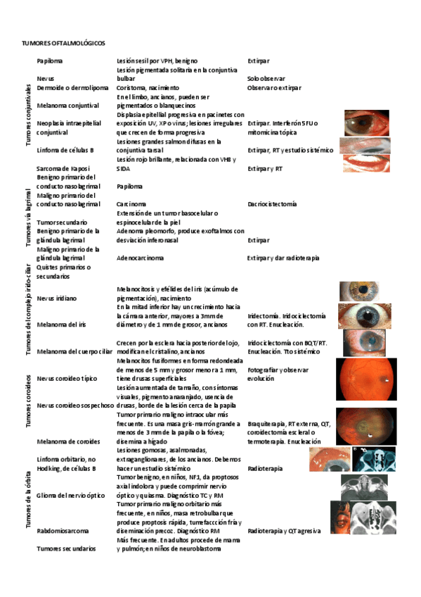 Miniatura del documento TUMORES.pdf