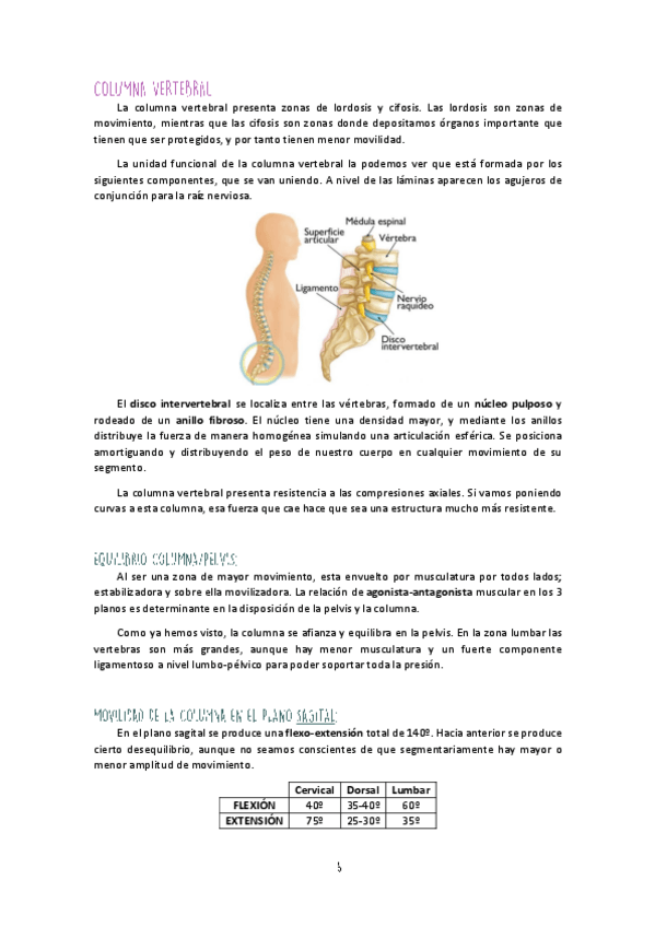 Miniatura del documento Unidad-II-Columna-Vertebral.pdf