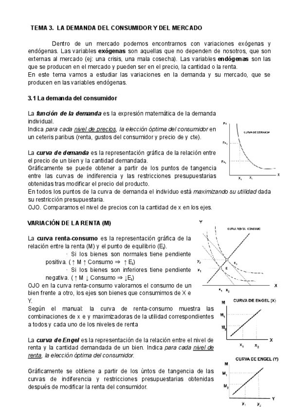 Miniatura del documento t3-la-Demanda-del-consumidor-y-del-mercado.pdf