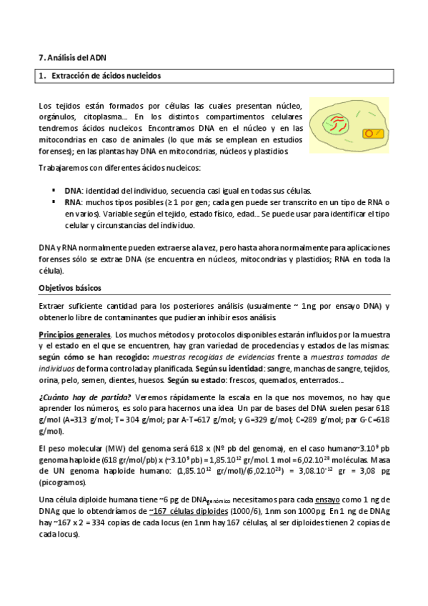 Miniatura del documento 7.pdf
