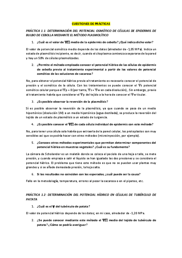 Miniatura del documento CUESTIONES-DE-PRACTICAS.pdf