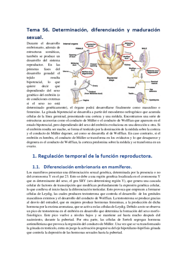 Miniatura del documento Tema-56.pdf