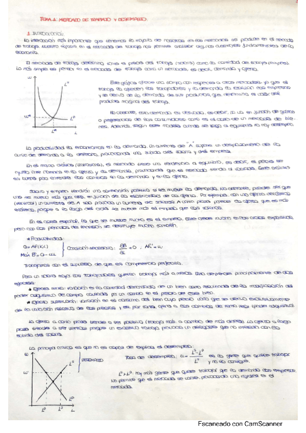 Miniatura del documento Temas-completos-macro.pdf