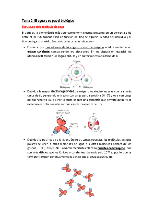 Miniatura del documento Tema-2.pdf
