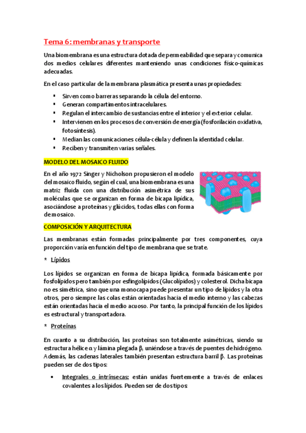 Miniatura del documento Tema-6.pdf