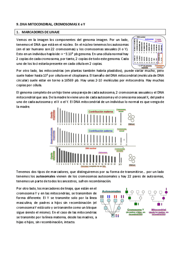 Miniatura del documento Tema9.pdf