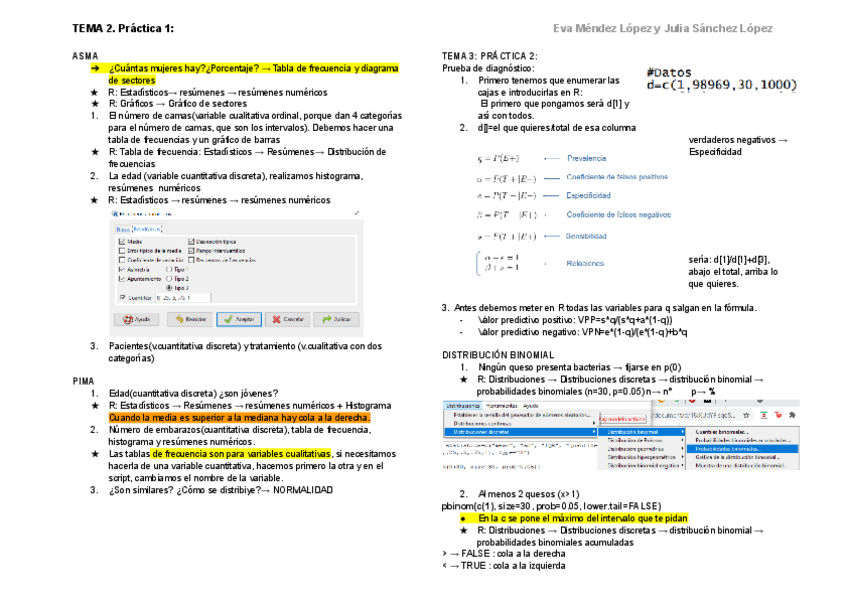 Miniatura del documento RESUMEN-2-PAGINAS.pdf