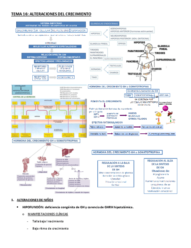 Miniatura del documento TEMA-16.pdf
