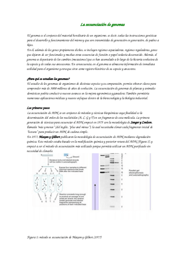 Miniatura del documento SECUENCIACION-Y-ACTIVIDADES-alumnos.docx