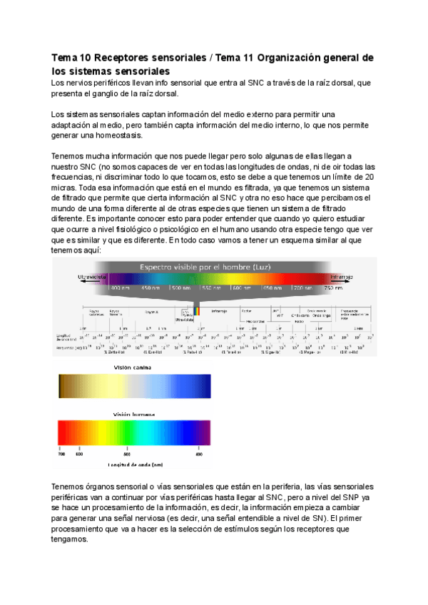 Miniatura del documento Tema-10-y-11.pdf