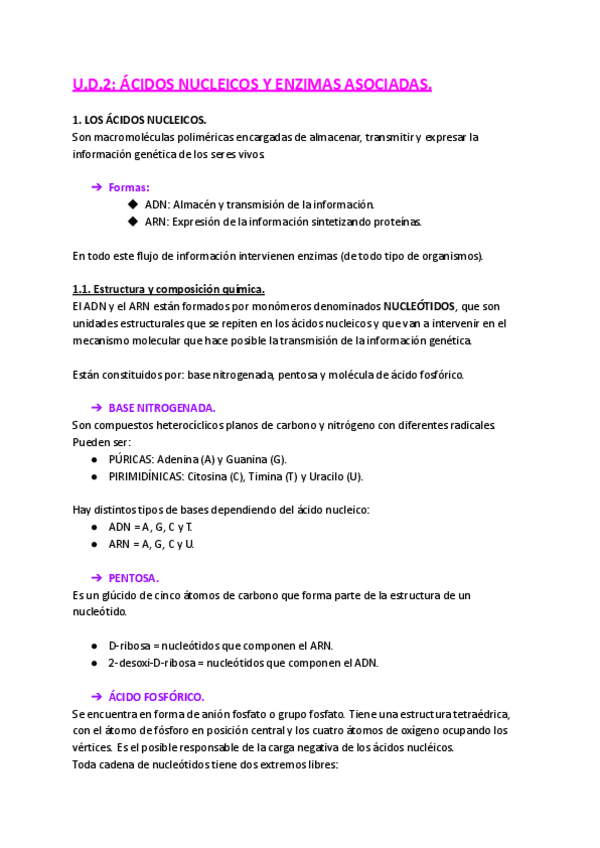 Miniatura del documento UD2.ÁCIDOS NUCLEICOS Y ENZIMAS ASOCIADAS