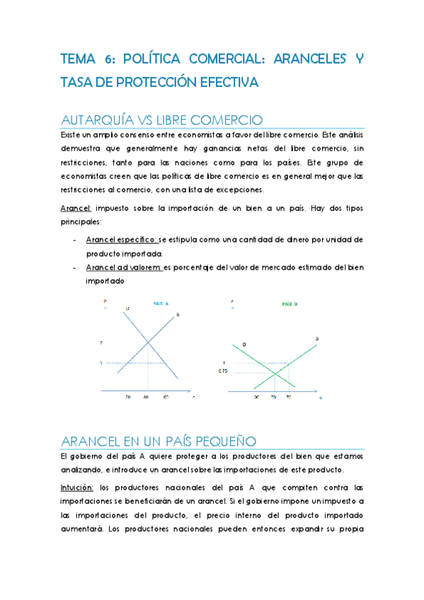 Miniatura del documento resumen-t6-arancel-a-las-importaciones-.pdf