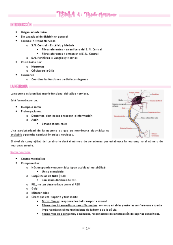 Miniatura del documento TEMA-4.pdf