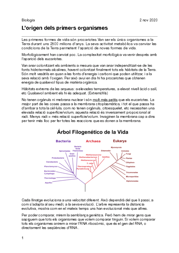Miniatura del documento 4-Lorigen-dels-primers-organismes.pdf