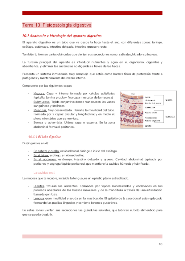 Miniatura del documento TEMA-10-FG.pdf