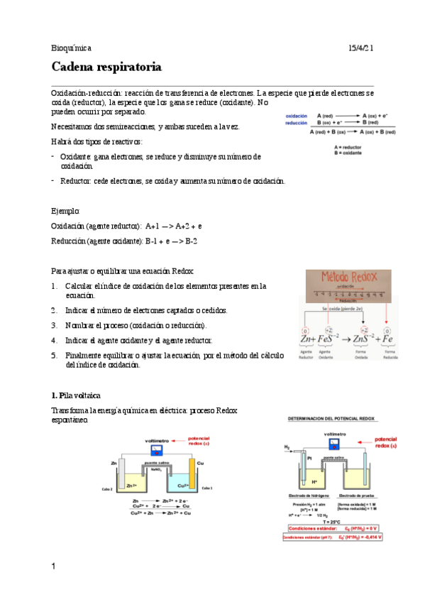 Miniatura del documento 05-Cadena-respiratoria.pdf