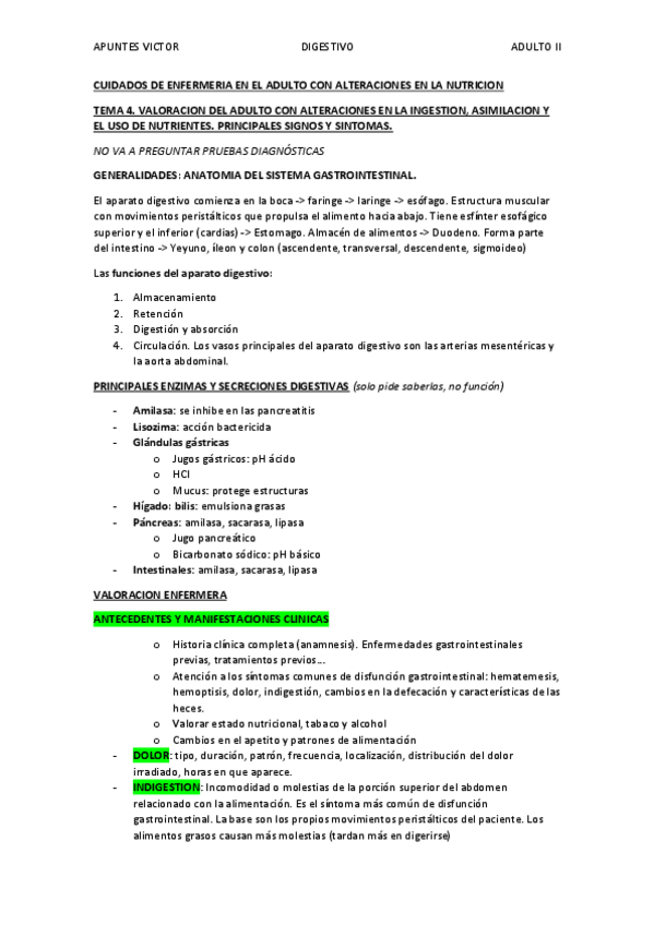 Miniatura del documento ADULTO-VICTOR.pdf