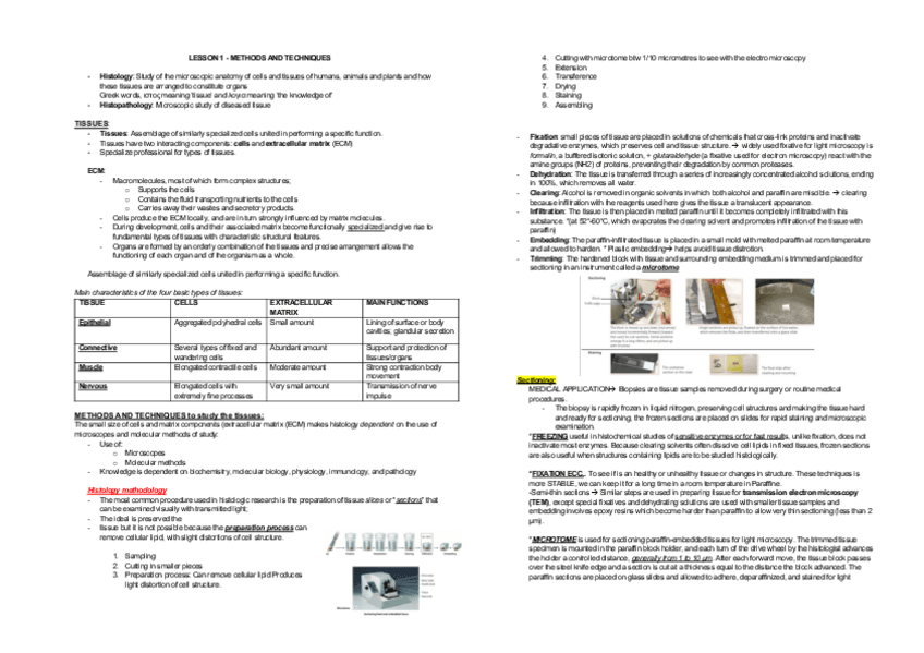 Miniatura del documento Histologia-histology.pdf