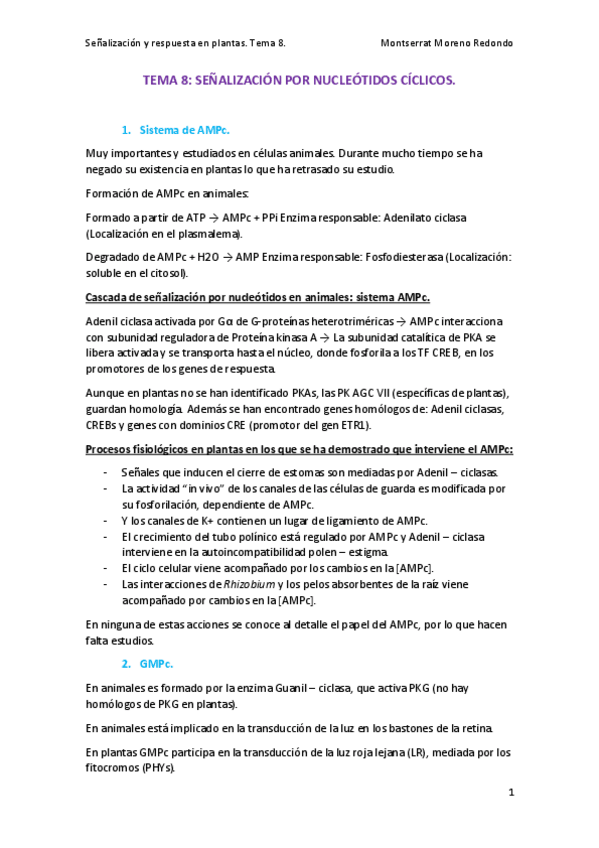 Miniatura del documento TEMA-8-SENALIZACION.pdf