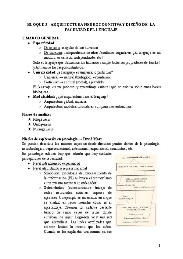 Miniatura del documento BLOQUE-3-ARQUITECTURA-NEUROCOGNITIVA-Y-DISENO-DE-LA-FACULTAD-DEL-LENGUAJE.pdf
