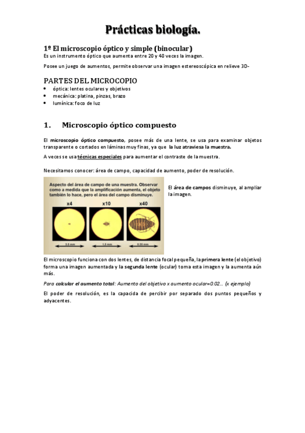 Miniatura del documento Practicas-biologia.pdf