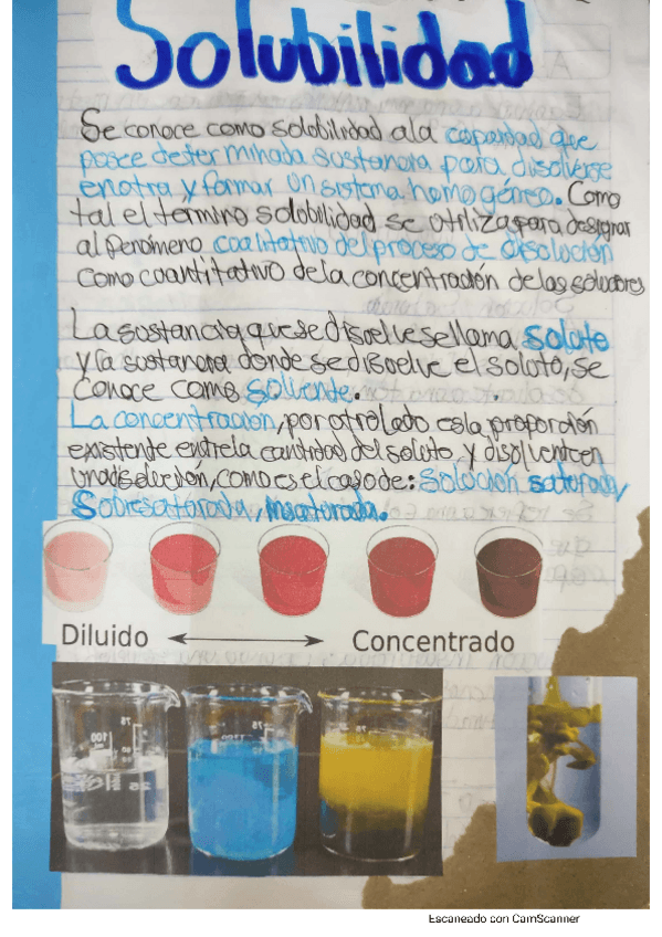 Miniatura del documento Solubilidad.pdf