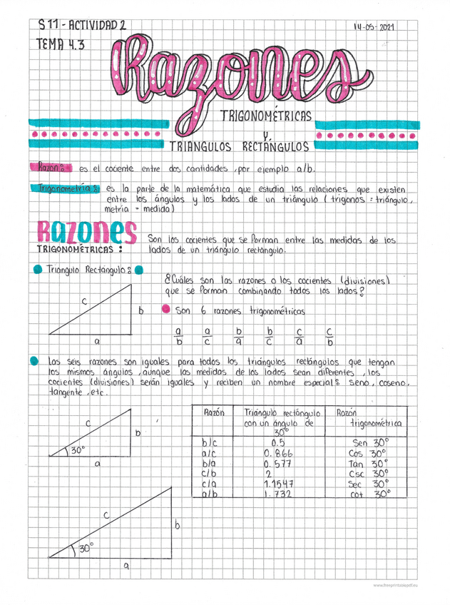 Miniatura del documento RAZONES-TRIGONOMETRICAS-Y-TRIANGULOS-RECTANGULOS-.pdf