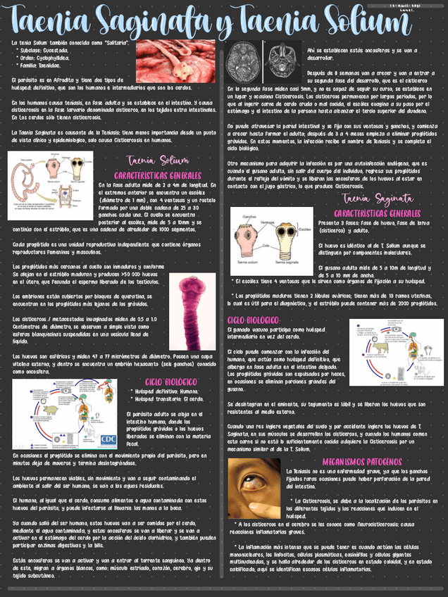 Miniatura del documento Taenia-Saginata-y-Taenia-Solium.pdf