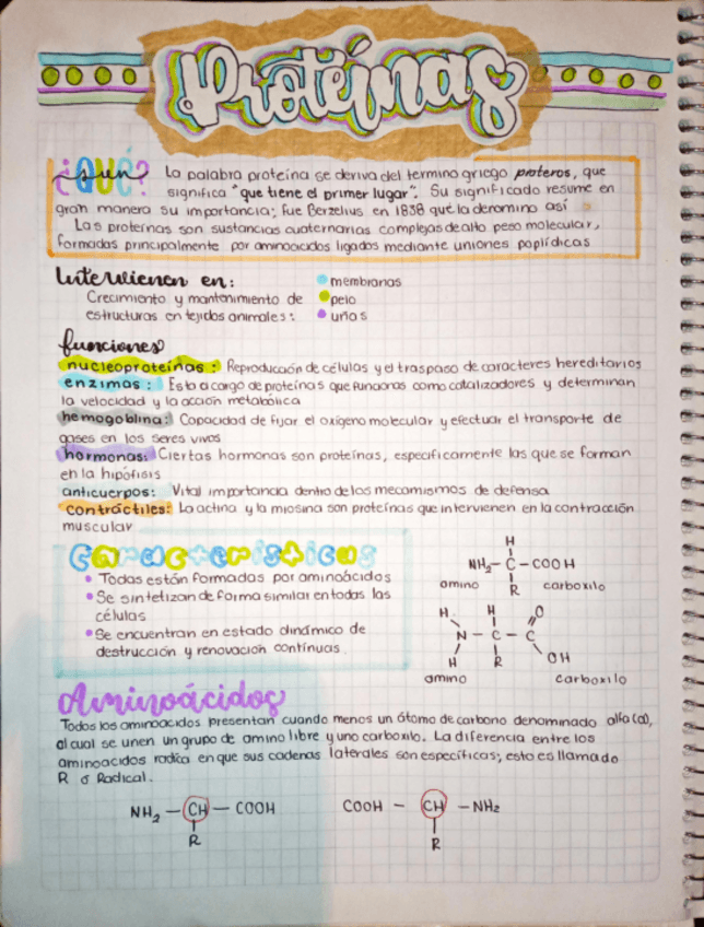 Miniatura del documento Proteinas-y-Enzimas.pdf