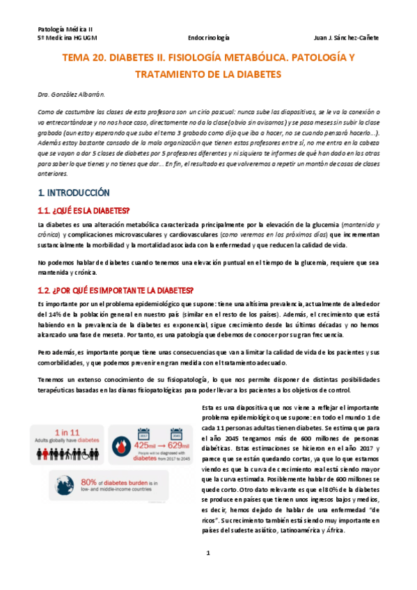 Miniatura del documento TEMA-20-DIABETES-II-FISIOPATOLOGIA-Y-TRATAMIENTO.pdf