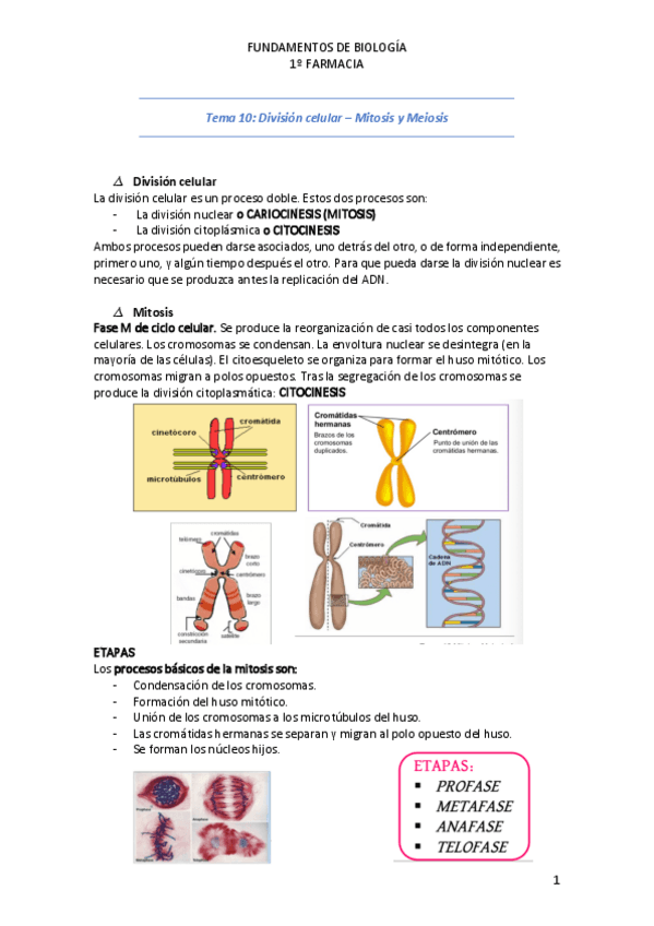 Miniatura del documento Tema-10.pdf