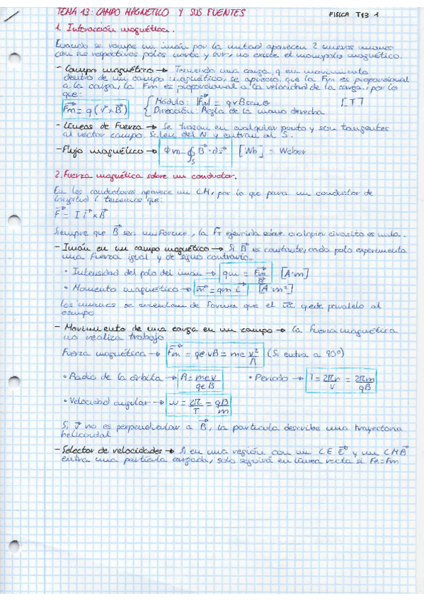 Miniatura del documento Campo-magnetico-y-sus-fuentes.pdf