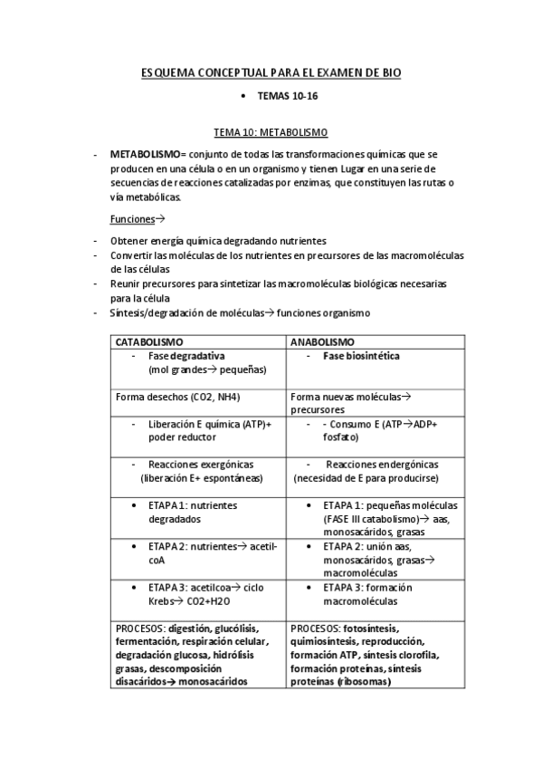 Miniatura del documento ESQUEMA-RESUMEN-BIOQUIMICA-METABOLISMO-TORIBIO.pdf