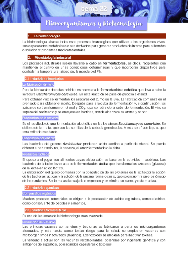 Miniatura del documento TEMA-22.pdf