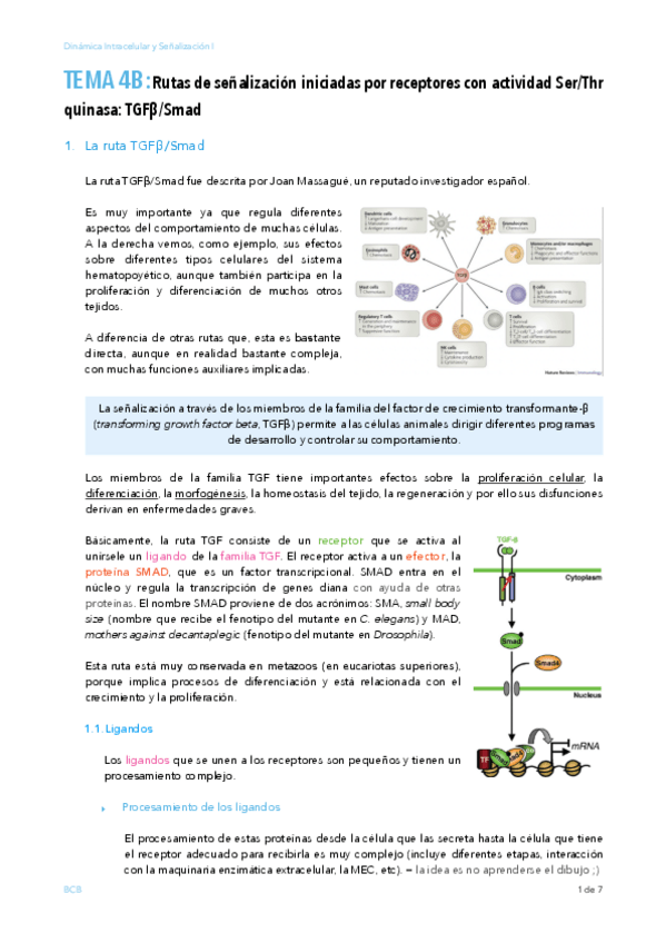 Miniatura del documento TEMA-4B.pdf
