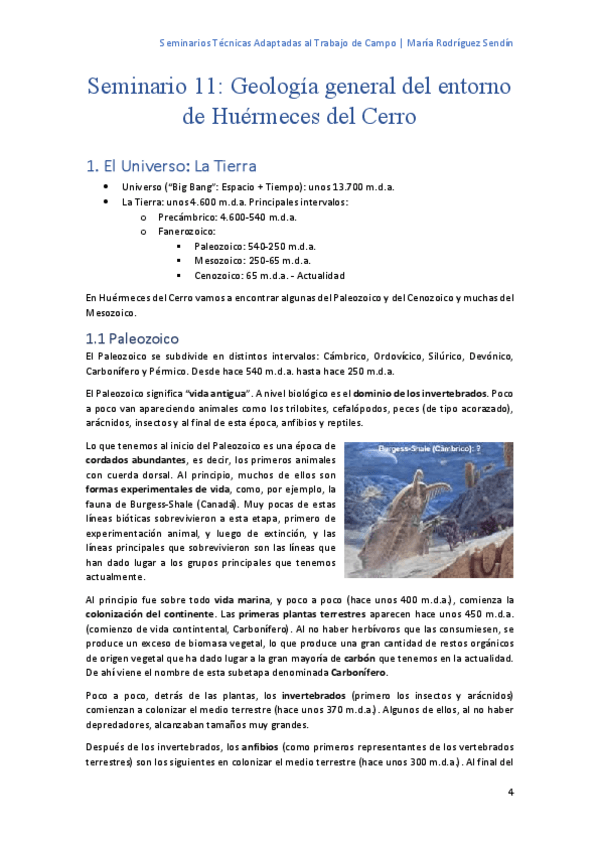Miniatura del documento Seminario-11-Geologia--Mis-apuntes.pdf