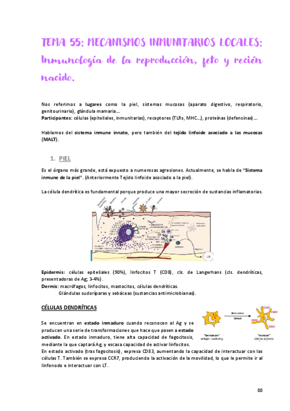 Miniatura del documento Tema-55.pdf