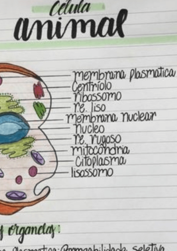 Miniatura del documento Biologia-.pdf