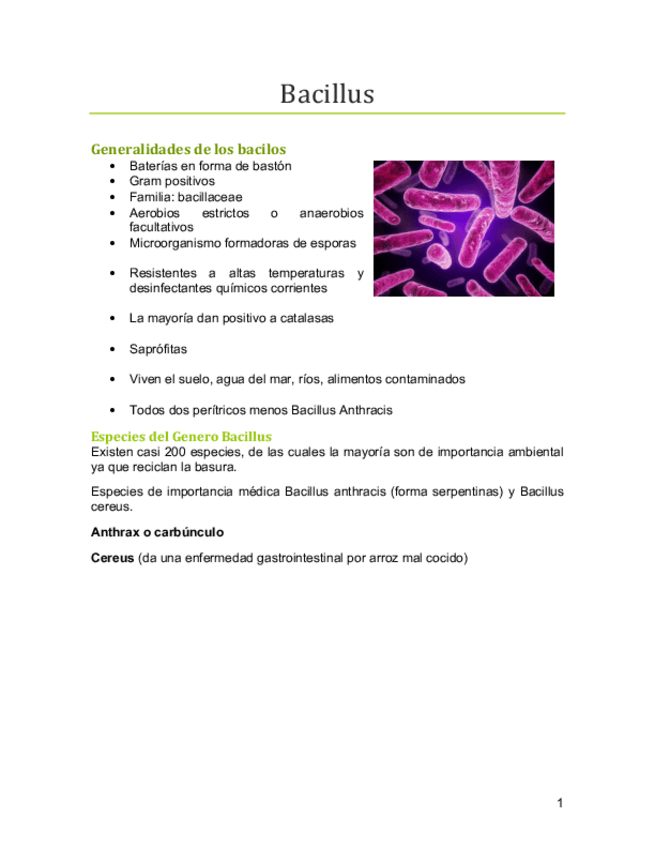 Miniatura del documento Bacillus.pdf