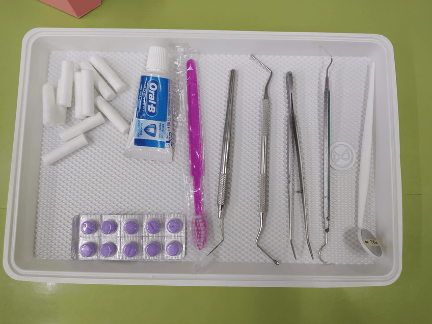 Miniatura del documento BANDEJA-DE-EXPLORACION.jpg