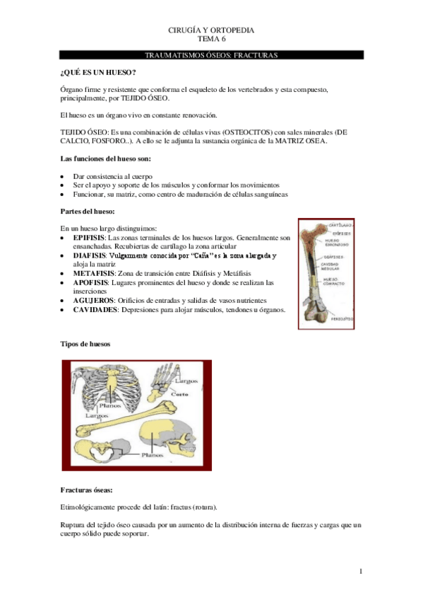 Miniatura del documento Tema-6-cirugia-.pdf
