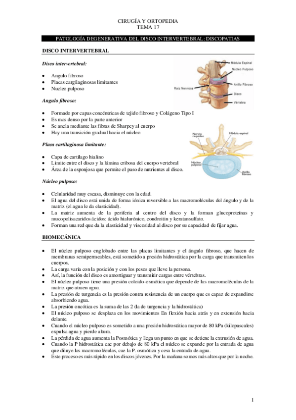 Miniatura del documento Tema-17-cirugia.pdf
