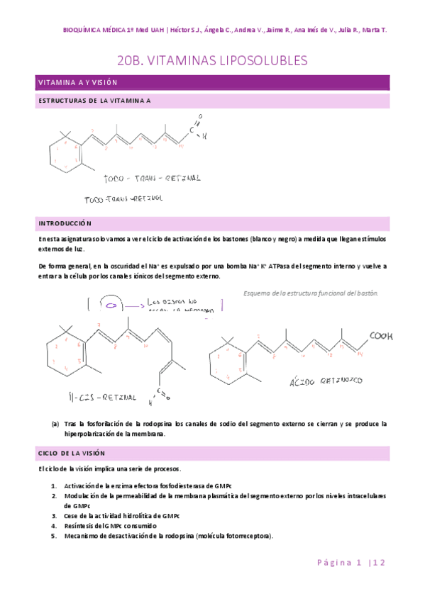 Miniatura del documento 20B-VITAMINAS-LIPOSOLUBLES.pdf