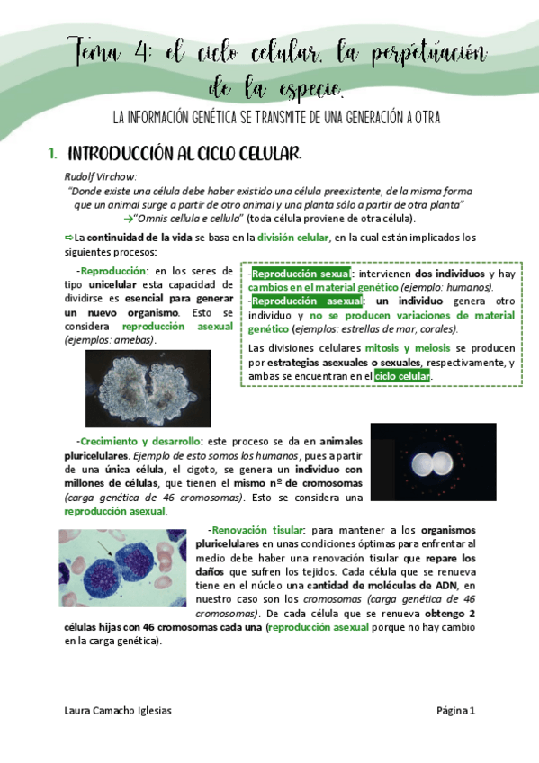 Miniatura del documento tema4biologiadefinitivo.pdf