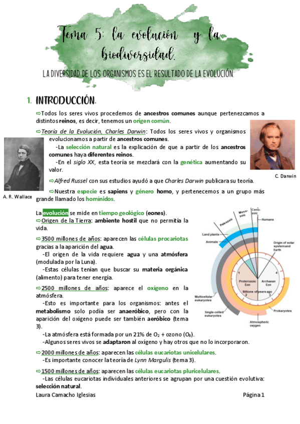 Miniatura del documento tema5biologiadefinitivo.pdf