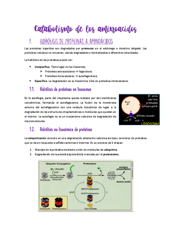 Miniatura del documento Tema-10-MyR.pdf