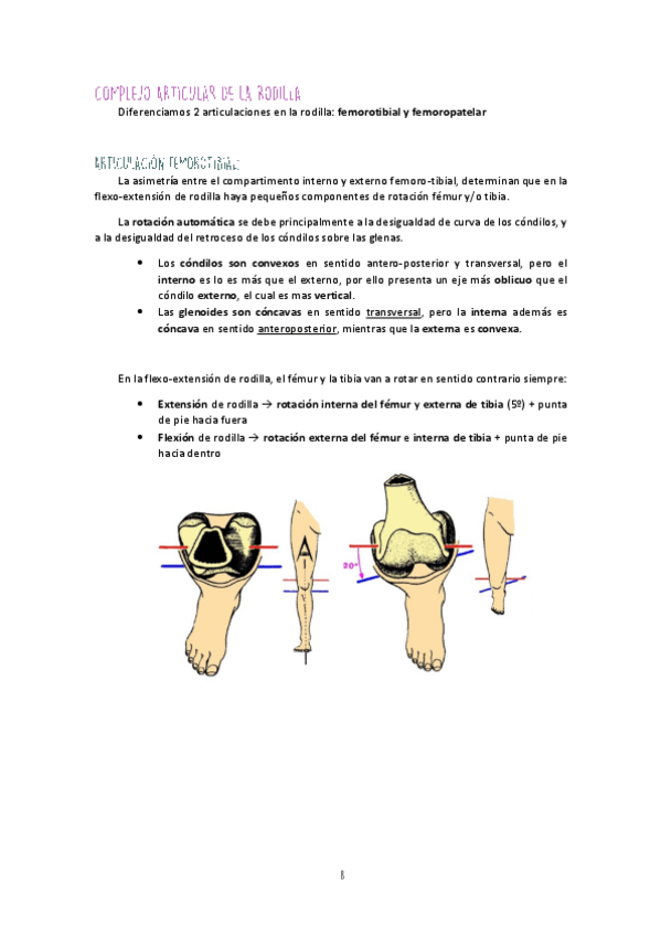 Miniatura del documento Unidad-II-MM-II-Rodilla.pdf